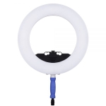LEDGO Bi-Color LED Ring Light