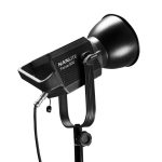 nanlite 300 led