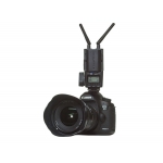 Triton on  DSLR camera