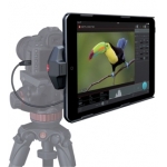digital director