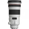 Canon 300 2.8 IS II