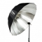 Umbrella Deep Silver L